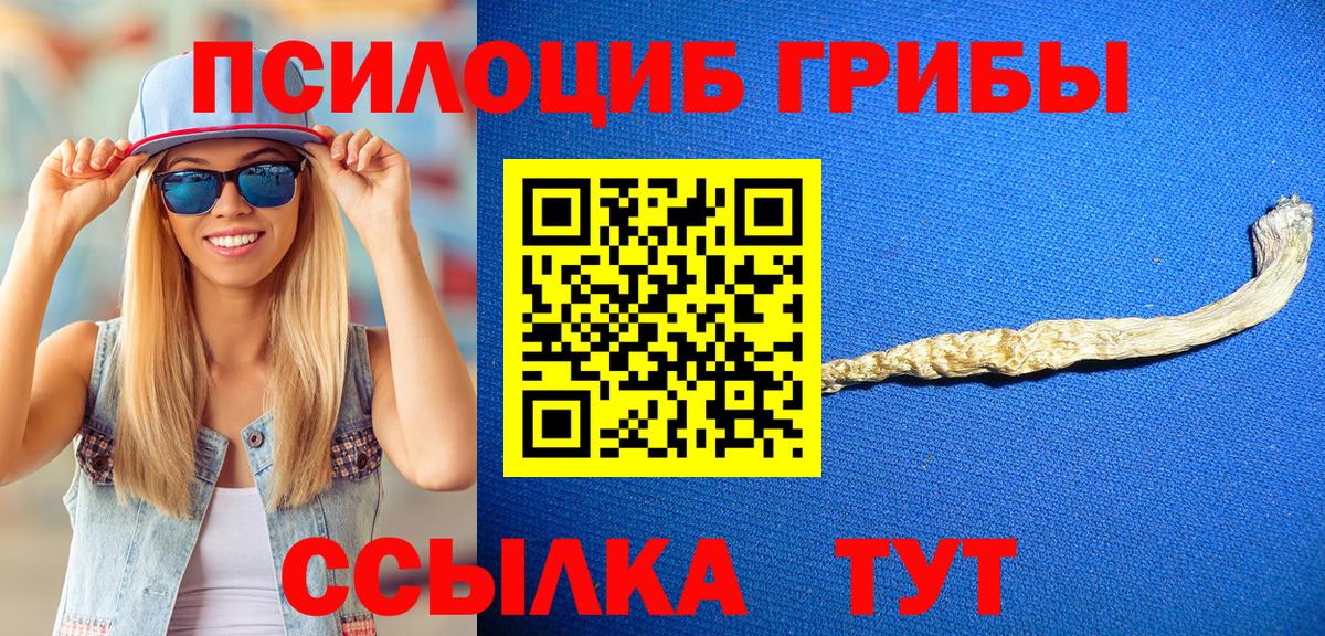 Иваново  Псилоцибиновые грибы прущие грибы  Вход с VPN 